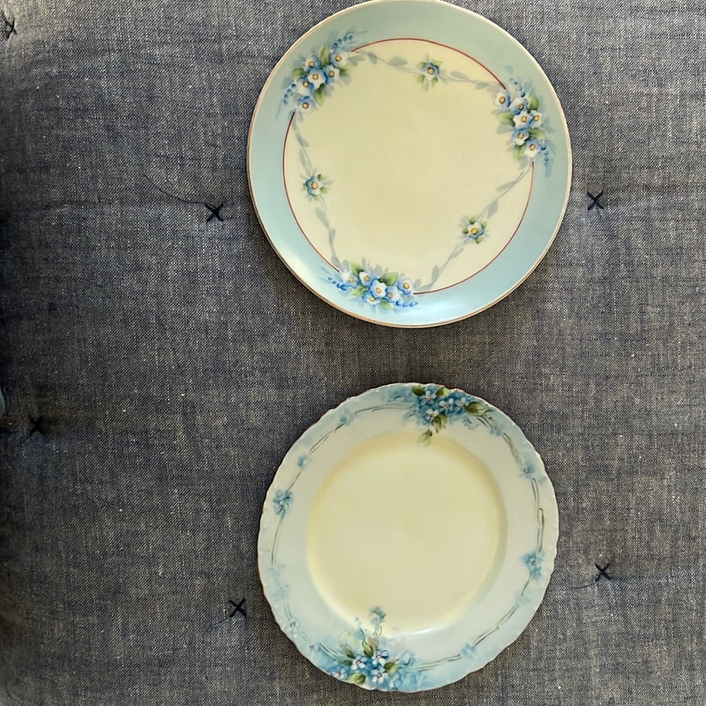 Hand painted plates- blue flowers